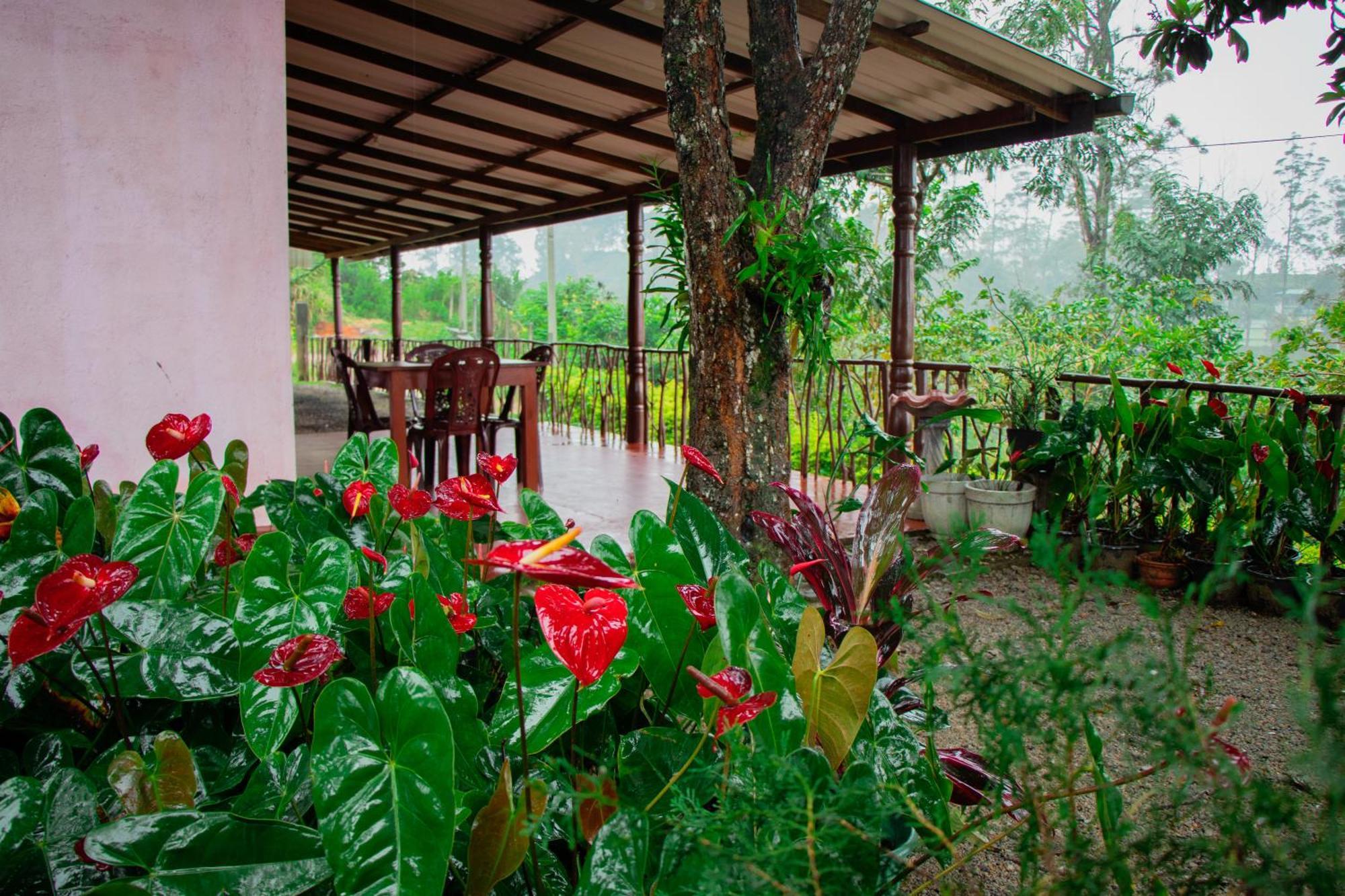 Nine Arch Homestay Ella Esterno foto
