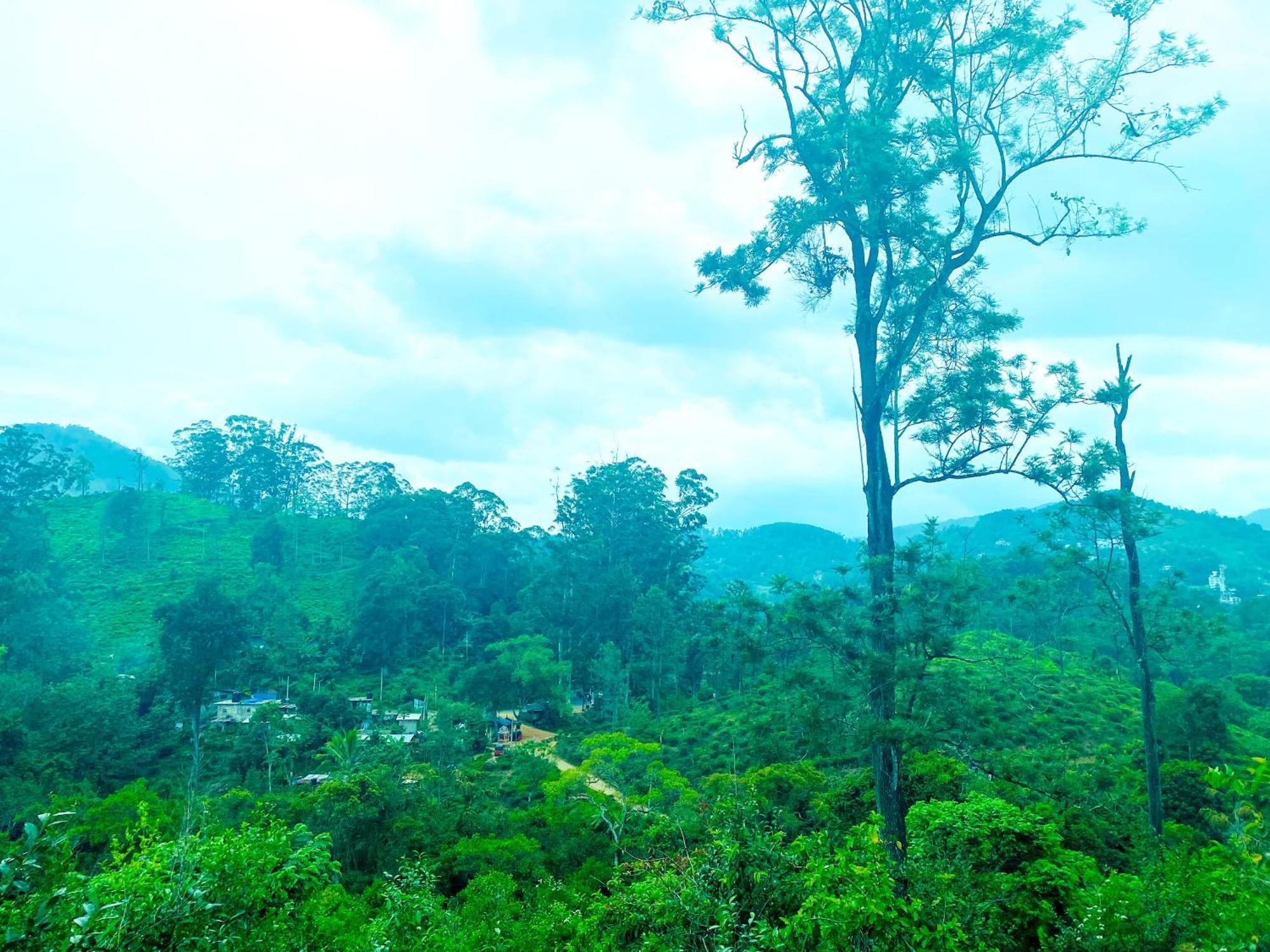 Nine Arch Homestay Ella Esterno foto
